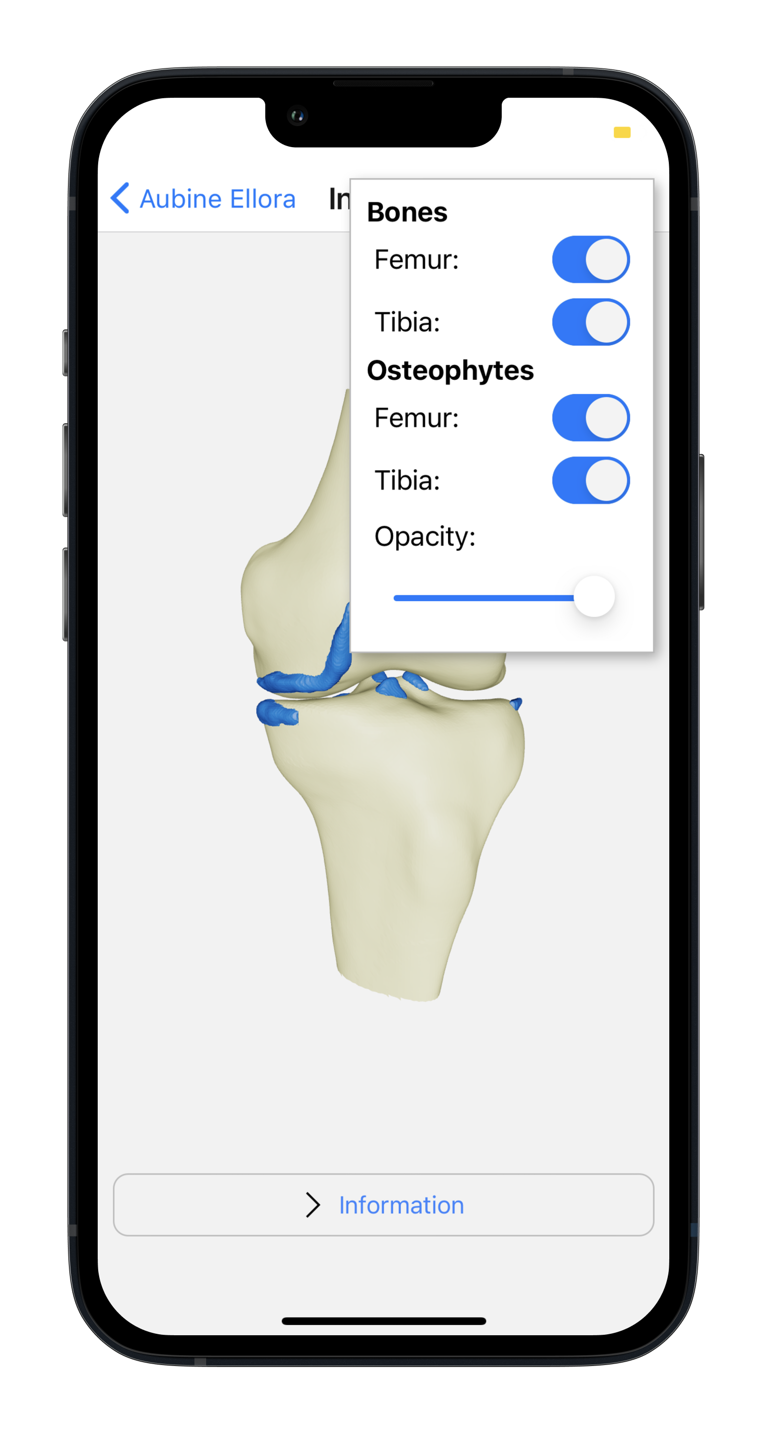 Insights screen view 2